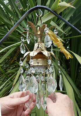 SWAG plugin Spelt...